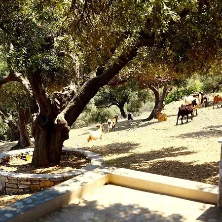 וילה Casa Milos Aegean Alónnisos