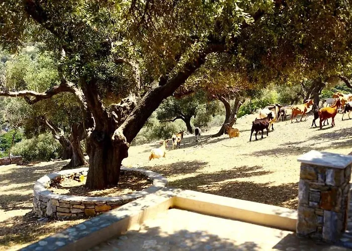 Villa Casa Milos Aegean Alónnisos